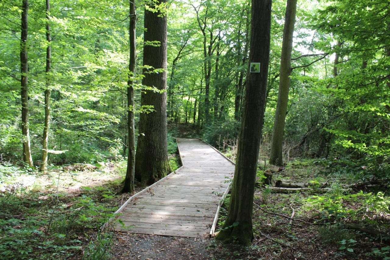 Ferienwohnung Forellenhof Oberschwarzach Bagian luar foto
