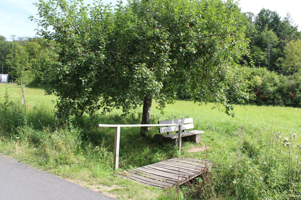 Ferienwohnung Forellenhof Oberschwarzach Bagian luar foto