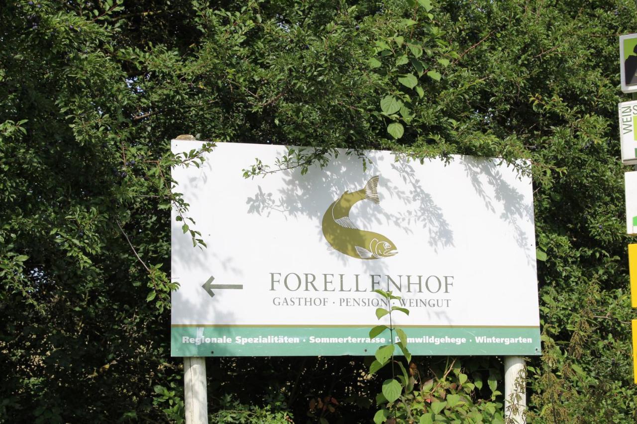 Ferienwohnung Forellenhof Oberschwarzach Bagian luar foto